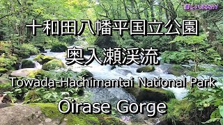 2024 奥入瀬渓流めぐり Oirase Gorge Tour 2024 [upl. by Kamilah]