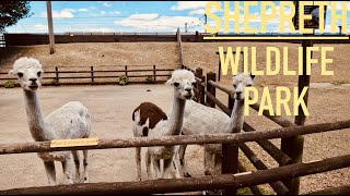 Shepreth Wildlife Park  Walking Tour  4K [upl. by Ahtilat]