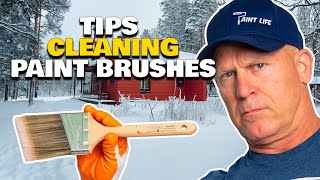 Cleaning A Paint Brush Life Hacks to Clean Painting Tools [upl. by Sarge]