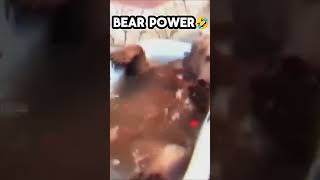 Bear Power 🤣edit funny youtubeshorts [upl. by Gensler]