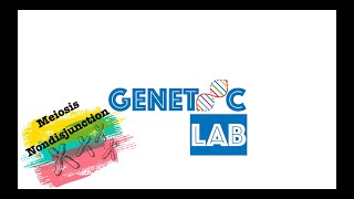 What is Nondisjunction  Down Syndrome  Chromosomal Disorders [upl. by Seuqramed]