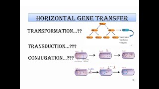 Horizontal gene transfer Transformation Transduction and ConjugationBio Beats [upl. by Anniram]