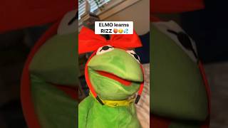 Elmo is the RIZZARD OF OZ 👹 comedy funny lol kermit elmo [upl. by Aihsia]