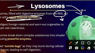 Eukaryotic Cells l Cell Organelles l Class IX [upl. by Elleniad]