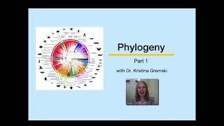 Phylogeny Part 1 [upl. by Milissa]