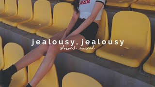 olivia rodrigo  jealousy jealousy slowed  reverb [upl. by Manson]