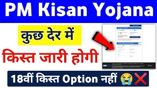 PM Kisan Yojana 18th Installment Option Not Showing  PM Kisan 18th Installment Payment Check [upl. by Beasley]