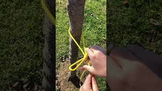 Quick Untie Easy Knot [upl. by Giulio]