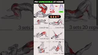 Fix varicocele at home fix varicocele without any surgery roman reigns viralshorts viratkohli [upl. by Coulter]