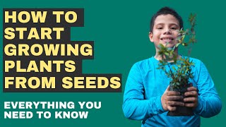 How To Start Growing Plants From Seeds [upl. by Chelsey]