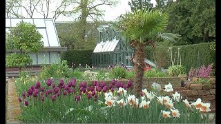 VOYAGE BOTANIQUE À LA DÉCOUVERTE DE LHORTUS BOTANICUS DE LEYDE Hollande [upl. by Eneliak]