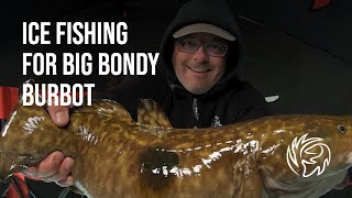 Big Bondy Burbot [upl. by Sabian]