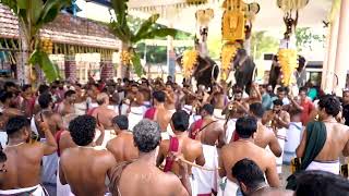 Pallavur 7aam Vilakku  Chowaloor Mohana Warrier  Pandimelam [upl. by Ramsey]