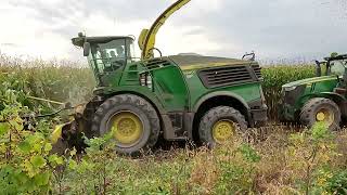 CANADIAN FARMER  BRABANTIA Farms  CORN SILAGE harvest by Kleins Agri Services BIG JD 9500 forager [upl. by Boyt]