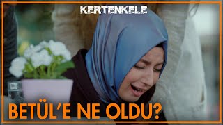 Betüle ne oldu  Kertenkele [upl. by Petty]