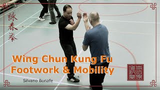 Wing Chun Footwork amp Mobility Rotterdam Alphen aan den Rijn Delft Waddinxveen [upl. by Aneelas]