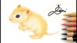 Maus zeichnen 🐭 Wüstenrennmäuse Zeichnungen 🐭 How to Draw a Gerbil Mouse 🐭 как се рисува мишка [upl. by Araf]