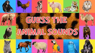 Guess The Animal Sounds For Kids  4K [upl. by Etty]