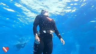 Dr Sara Filmalter  BreathHold Diving Free Diving  Scuba Diving [upl. by Eduino]