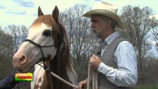 Equine Author Tom Moates [upl. by Elok528]