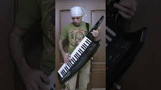 SKID ROW  WASTED TIME cover on KEYTAR Guitar solo shorts [upl. by Acinna]