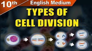 Class10  SSC  Types of Cell Division  Science 2  Maharashtra Board  Home Revise [upl. by Wiedmann]