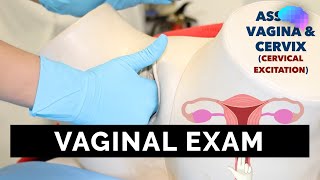 Vaginal Examination PV  OSCE Guide  UKMLA  CPSA [upl. by Sethrida946]