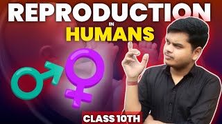 Reproduction in human beings  class 10th biology  how do organisms reproduce  part 1 [upl. by Brosy121]