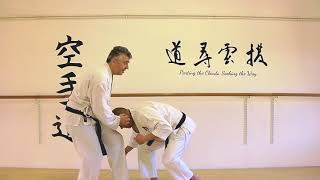 teisho uke Bunkai Strategies 2019 week 16 koryu karate oyo jutsu [upl. by Nylynnej]