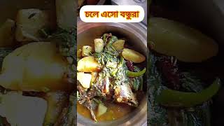 বন্ধুরা আজকের রান্না😋😋😋 food blog longvideo youtublongvideo PutulTikadarv4s [upl. by Anilegna98]