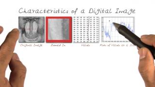 Characteristics of a Digital Image [upl. by Yajeet108]