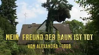 MEIN FREUND DER BAUM IST TOT von ALEXANDRA 1968 [upl. by Aggarwal]