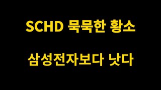 올해 수익률 20대 SCHD  묵묵한 황소처럼 혼자 가는 중 [upl. by Nniw]