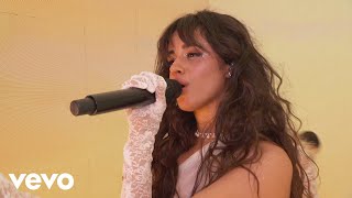 Camila Cabello  Living Proof Live from the 2019 AMAs [upl. by Stafani991]