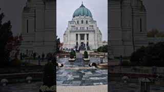 Zentralfriedhof mit HanaTours 😊 silviaeitler zentralfriedhof wien vienna wienistanders [upl. by Ailee]