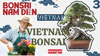 Vietnam bonsai exhibition [upl. by Tra]