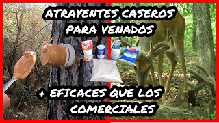 Crea Fácil Atrayentes Caseros para Venados corzo ciervo gamo alce caribú Como hacer y cebar caza [upl. by Aiouqahs857]