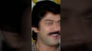 Sowcar Janaki amp Sukumari Comedy War  Subhakankshalu  shorts  youtubeshorts  comedyshorts [upl. by Netnert525]