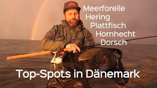 Angeln in Dänemark TopSpots für Meerforelle Hering Plattfisch amp Co Unterwegs in Nordseeland [upl. by Sirc]