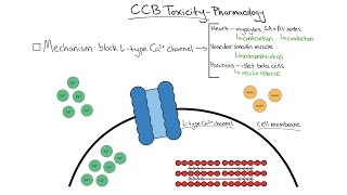 Tox Talk Calcium Channel Blocker Toxicity [upl. by Dlanger]