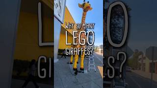 Why does LEGO like giraffes lego legos legoaddict afol legomoc legoland legofan legobuild [upl. by Drazze]