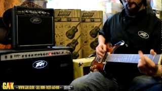 Peavey  6505 Plus 112 Combo Demo at GAK [upl. by Sufur585]