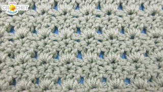 Primrose Crochet Stitch  February  Victorian Stitch Sampler Calendar Blanket [upl. by Cristina]