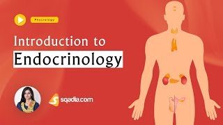 Introduction to Endocrinology  Physiology Lectures Education  VLearning  sqadiacom [upl. by Il]