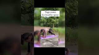 Yoga asana for healthy spine shortsytshortsyogaasanayogaposeofthedayyogapracticeasanasyoga [upl. by Blunt809]