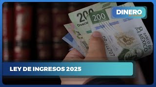 Ley de Ingresos 2025  Dinero en Imagen [upl. by Ahtiuqal]