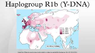 Haplogroup R1b YDNA [upl. by Adoree]