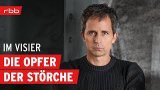 Die Störche  ein teuflisches Verbrecherpaar  Im Visier  TrueCrimePodcast  Folge 78 [upl. by Pliske]