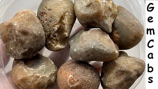 Eight Botswana Agate Nodules Cut Open to Reveal Beautiful Banding 11 05 24 [upl. by Daas]