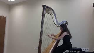 Waltz of the Flowers Harp cadenza Derin Ünel [upl. by Adnilem]